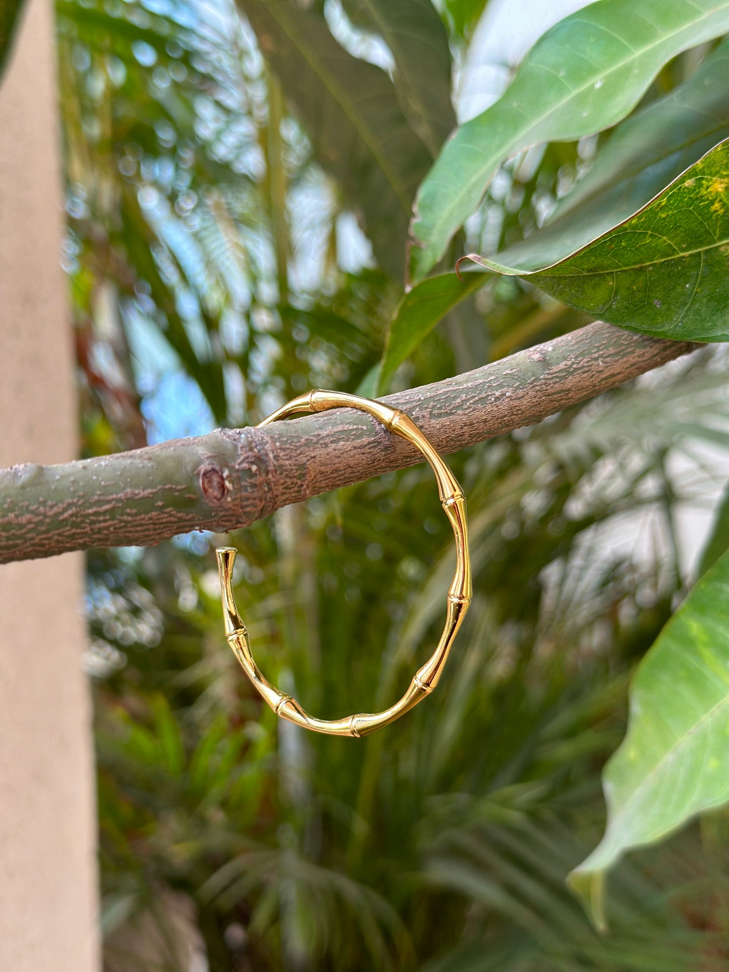 Bamboo Bangle