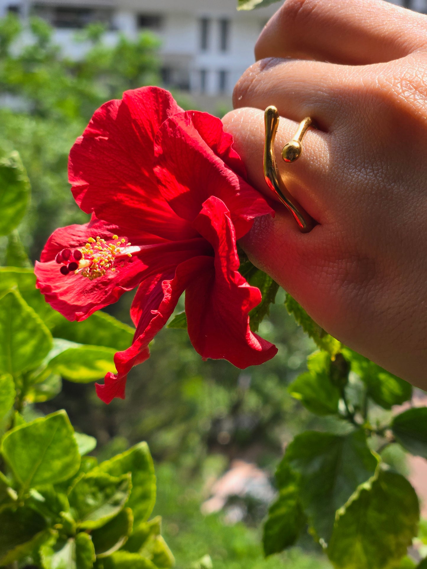 Twig Ring