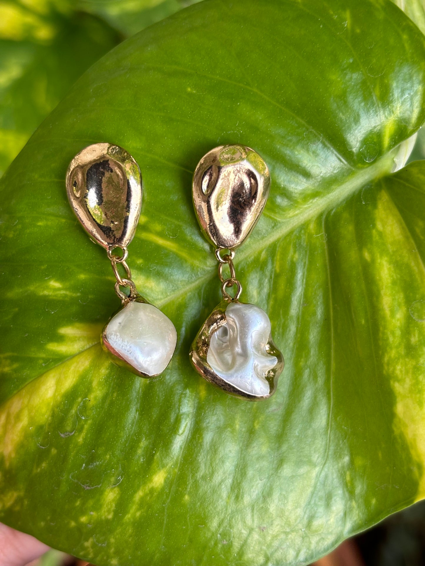 White Oysters