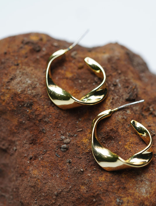 Do The Twist Hoops
